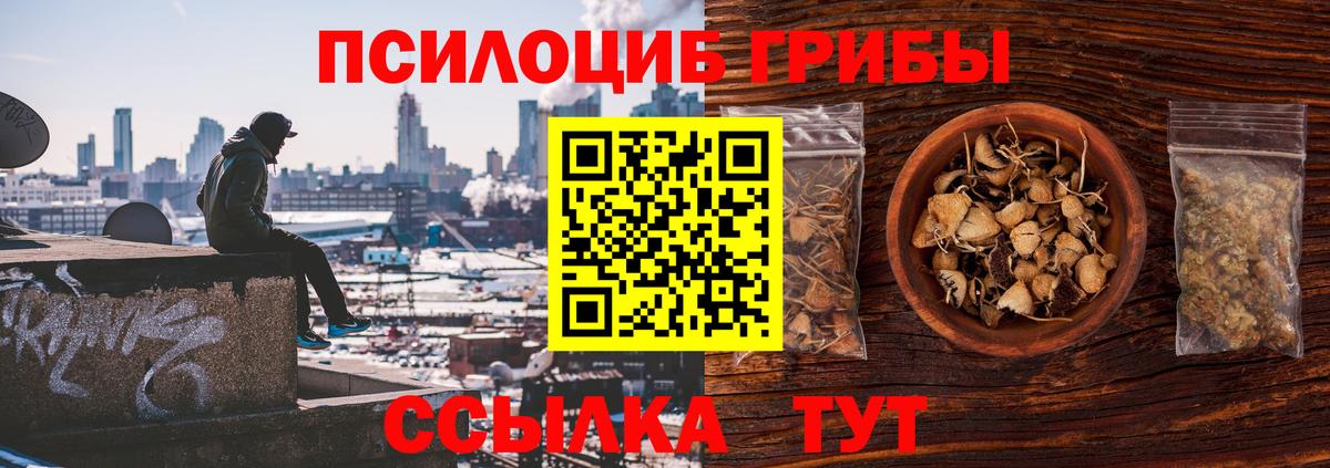 Псилоцибиновые грибы мухоморы Сертолово