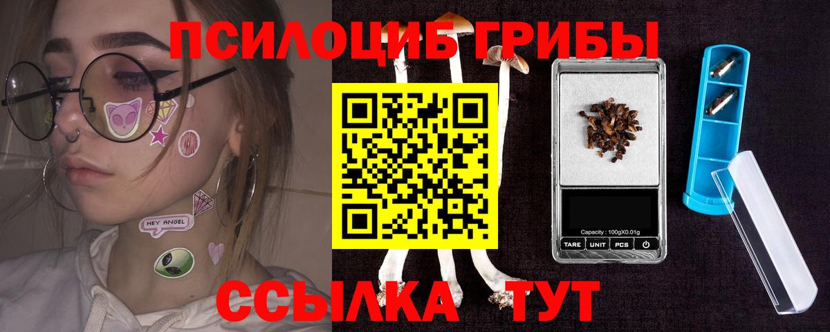 Псилоцибиновые грибы мицелий  Вход с VPN  Сертолово 